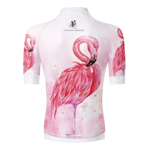 Pink Flamingo Aero Jersey For Men