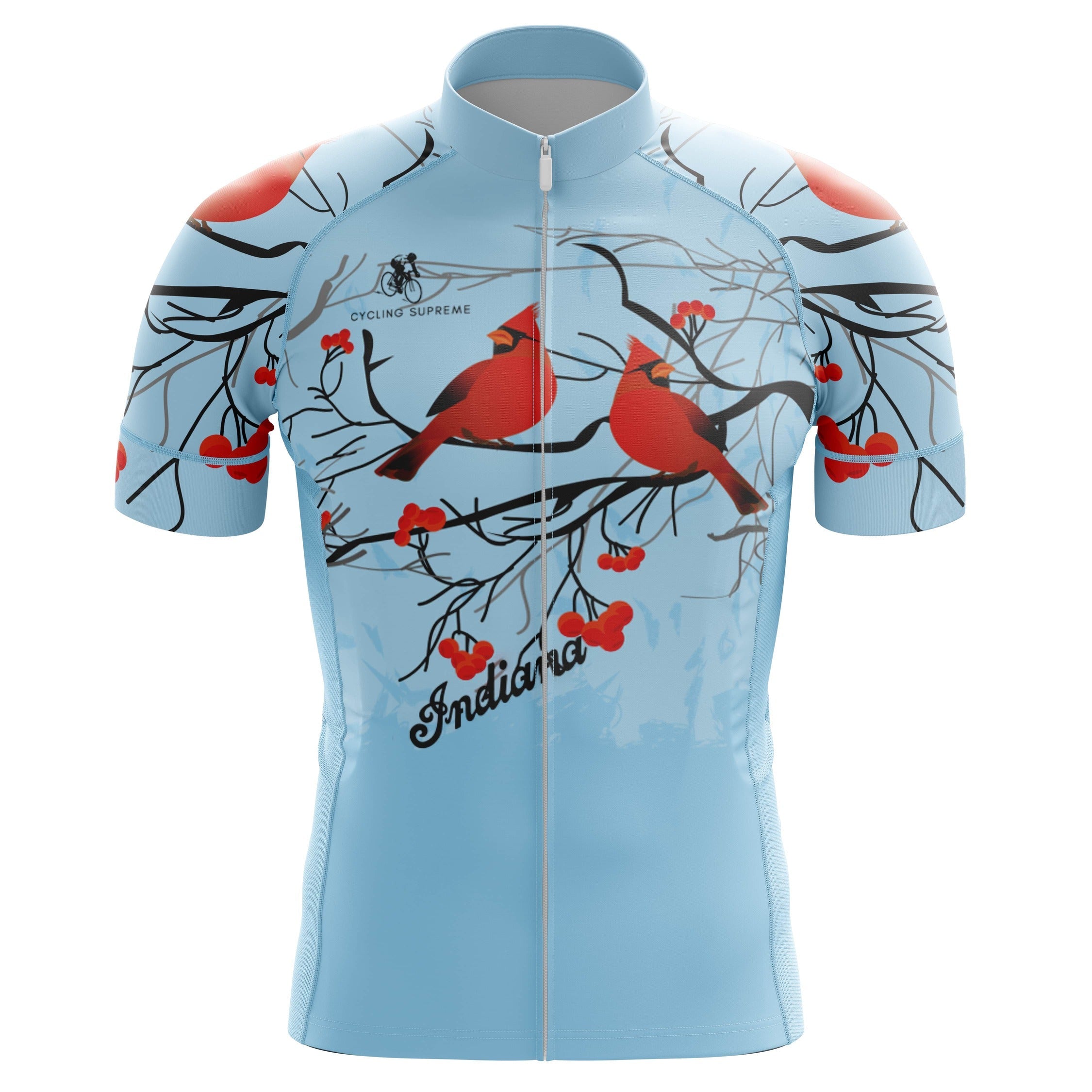 Indiana Birds men's cycling jersey, state pride